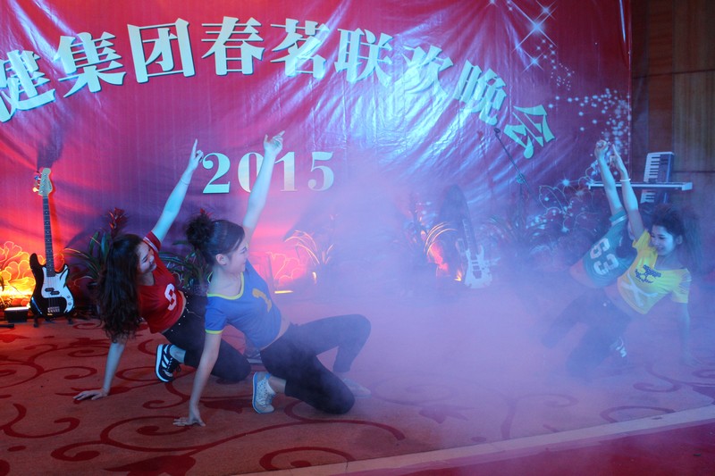 2015龙健集团春茗晚会