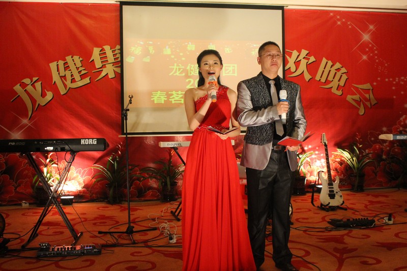 2015龙健集团春茗晚会