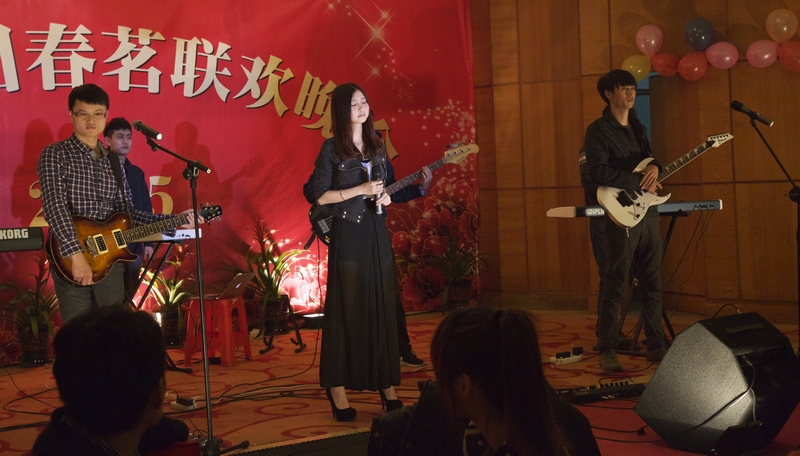 2015龙健集团春茗晚会