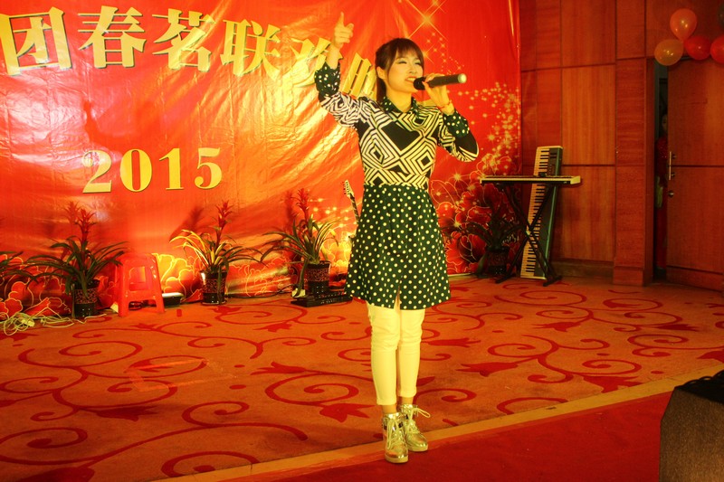 2015龙健集团春茗晚会